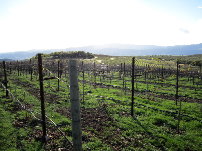 8-4-14-Great-Vacation-Ideas-for-CLNCs-Who-Missed-Summer-Napa