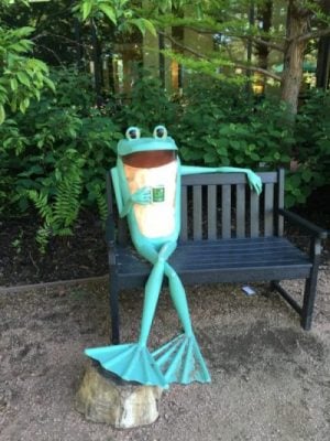 Check out these whimsical frog sculptures from the Morton Arboretum. They are guaranteed to put a smile on your face.